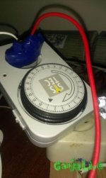 IMAG0497.jpg
