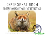 59692b5bae63d18208f72f8ebec8adfb.png
