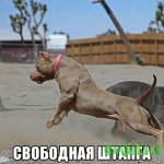 getImage.jpg