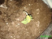 20150409_2142141.jpg