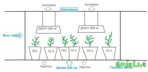 Проект.jpg