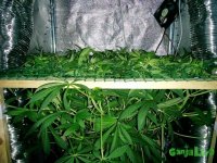 IMG 20150417 064640~2 (Копировать).jpg