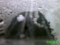 IMG_1715.JPG