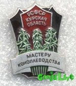 Мастер-коноплевод.jpg