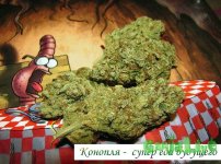 конопля-еда.jpg