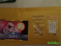 DSC00009.JPG