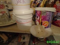 DSC00001.JPG
