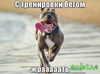 getImage.jpg