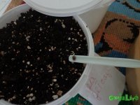 DSC00002.JPG