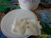 DSC00001.JPG