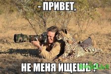 getImage.jpg