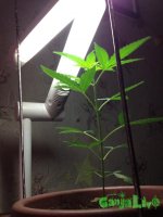 IMG_1168.JPG