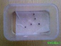 IMG00048.jpg