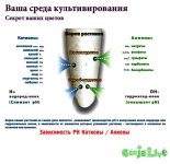 Зависимость PH Катионы - Анионы.jpg