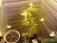 IMG00123.jpg