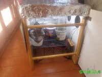 DSC00001.JPG
