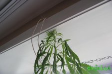 IMG_1487.JPG