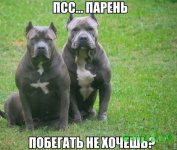 getImage (1).jpg