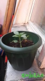 20150503_152054.jpg