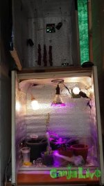 20150502_144859.jpg
