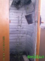IMG00153.jpg IMG00153.jpg