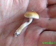 IMG_1789.JPG