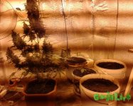 2015-05-06 20.11.26-1.jpg