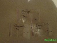 DSC00006.JPG
