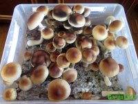 IMG_1889.JPG