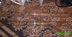 DSCN0310.JPG