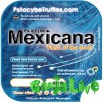 10044_mex_sticker.jpg 10044_mex_sticker.jpg