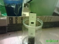IMG_20150529_185046.jpg