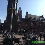 IMG_7082.JPG IMG_7082.JPG
