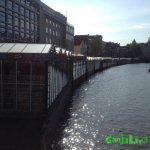 IMG_7083.JPG IMG_7083.JPG