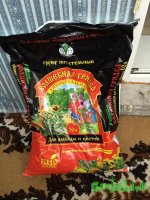 IMG_2545.jpeg