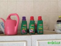 IMG_2544.jpeg