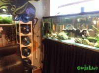 IMG_7443.JPG