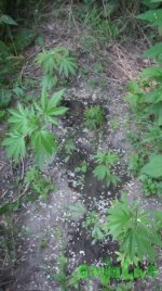 IMG_0291.JPG