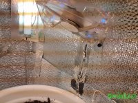 20150605_0717561.jpg
