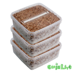 xl_combi_pack_3box.png