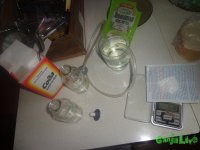 DSC00006.JPG