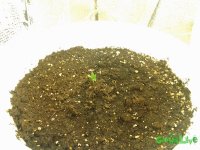 20150606_2035361.jpg