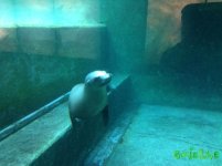 IMG_7988.JPG