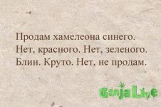 5620467.jpg
