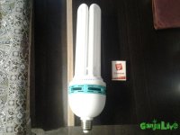 20150616_103356.jpg