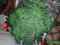 20150617_121638.jpg