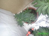 20150617_121650.jpg