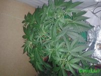 20150617_121700.jpg