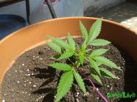 20150617_105734.jpg