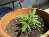20150617_105738.jpg